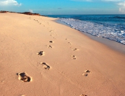 Footprints-Sand